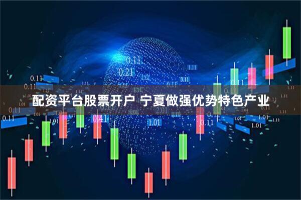 配资平台股票开户 宁夏做强优势特色产业