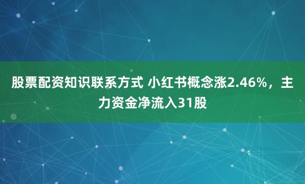 股票配资知识联系方式 小红书概念涨2.46%，主力资金净流入31股