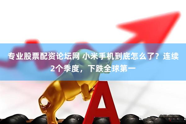 专业股票配资论坛网 小米手机到底怎么了？连续2个季度，下跌全球第一